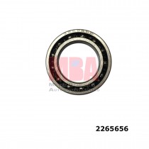 AUTOMOTIVE BALL BEARING (2265656)