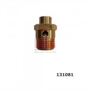 SAFETY VALVE (AV131081)