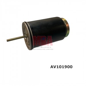 AIR VALVE (AV101900)